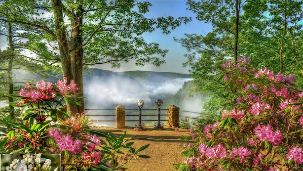 A scenic outdoor area with a stone bench, lush greenery, and flowering plants.