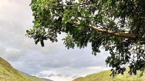 A lush green landscape with a small hut in the distance, surrounded by dense vegetation and hills. - Eco-Finca Hostal Santorum (Vilcabamba)