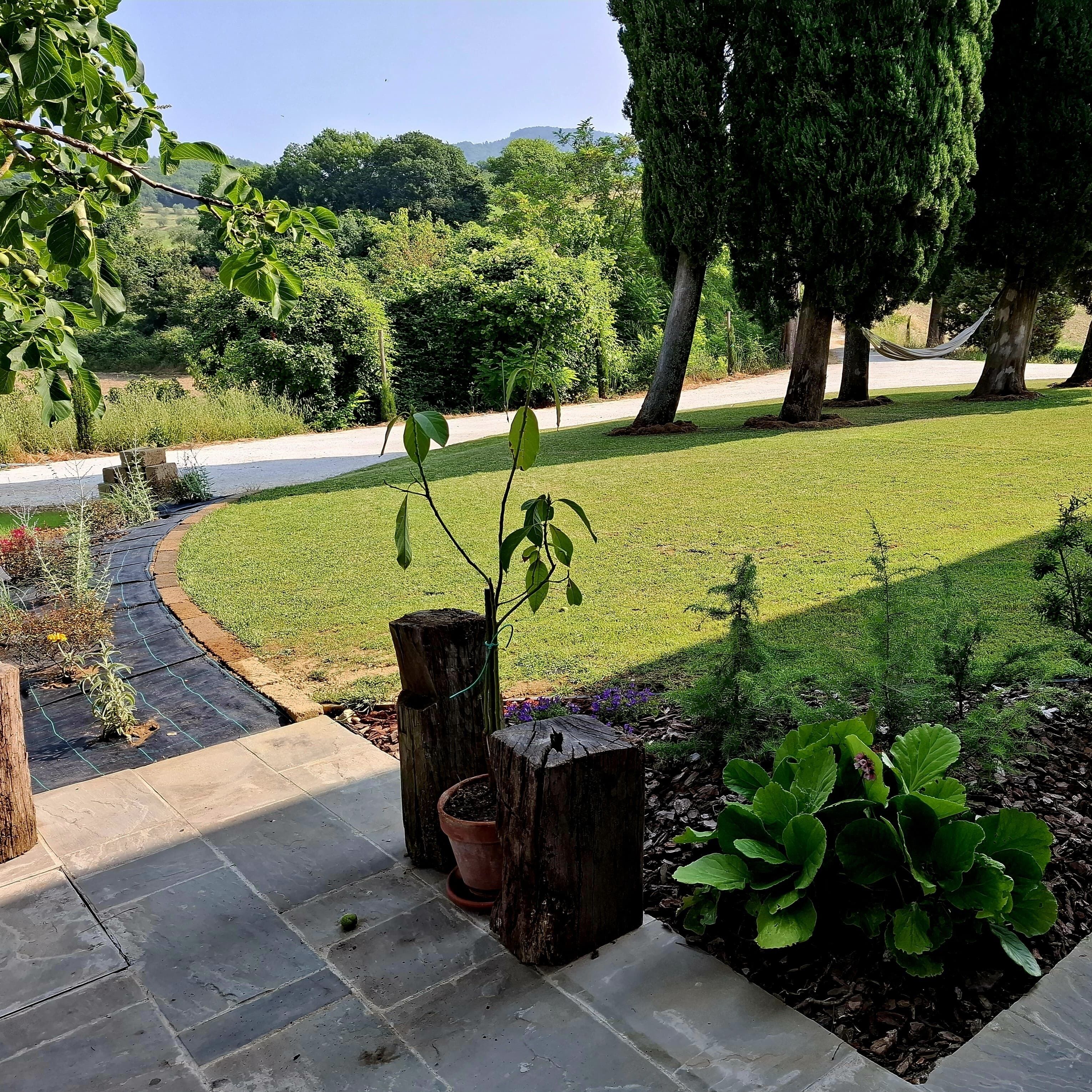 A garden with a paved pathway, a wooden post with a potted plant, and a grassy lawn.
