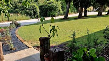 A garden with a paved pathway, a wooden post with a potted plant, and a grassy lawn.