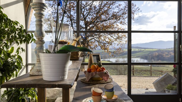 A table with a potted plant, a bowl of oranges, and a view of a landscape through large windows.