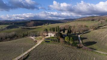 Un paysage rural avec des champs en terrasses, un petit bâtiment et des collines douces en arrière-plan.