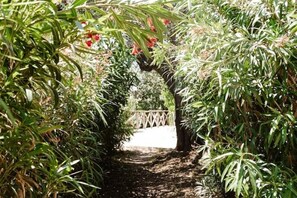 Property grounds - Amalfi Gioia House (Amalfi)