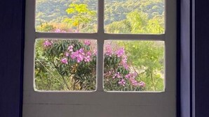 A window with a view of a mountainous landscape and some greenery. - Pousada Relicário (Tiradentes)
