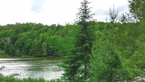 Paisagem natural com um lago, vegetação densa e uma rocha em primeiro plano.