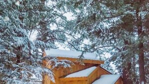 A log cabin with a wooden porch and a stone foundation, surrounded by snow-covered trees. - Vermont Tree Cabin on Walker Pond, private retreat (Newport)