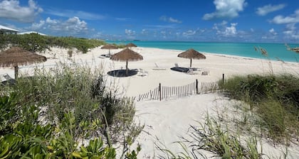 Fully Renovated, Oversized Beach Villa and ready February 24'.