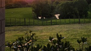 A sunset view from a window overlooking a grassy field with a fence and trees. - Cozy modern farm Cabin. Enjoy the relaxing rural vibe just 40 minutes from CBD (Waitoki)