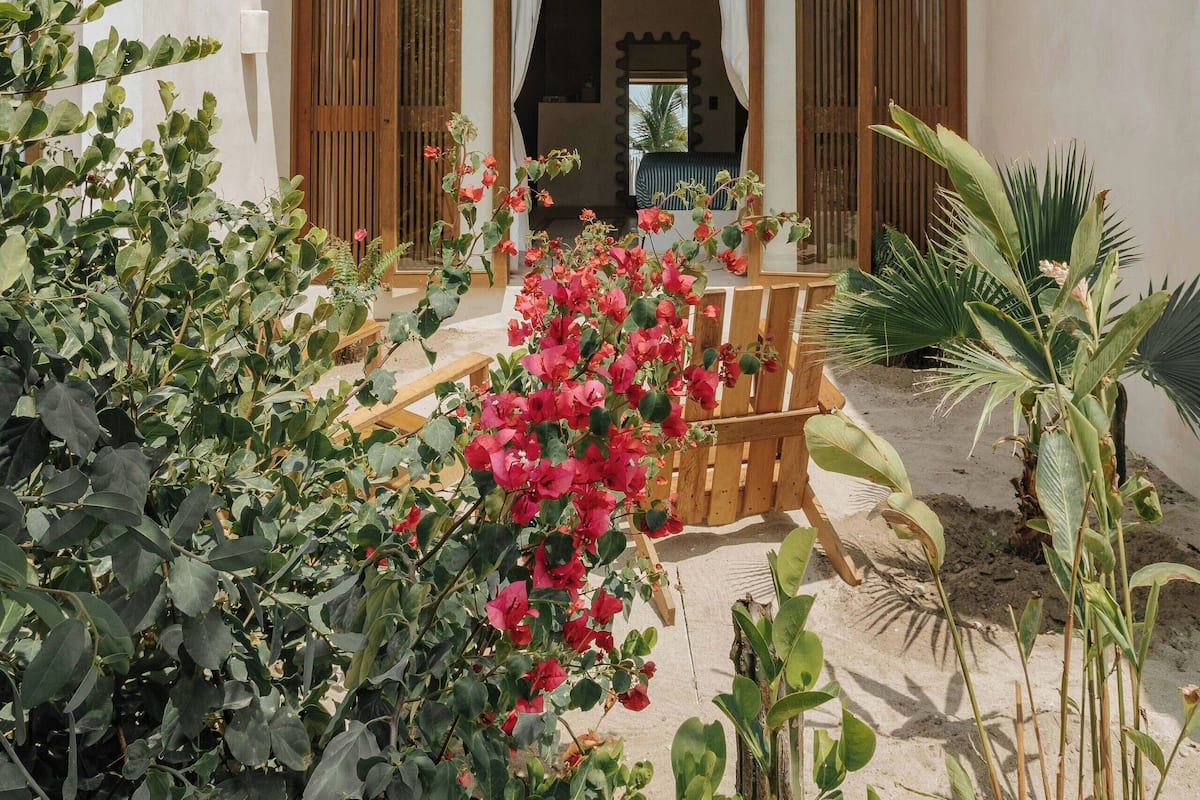 Une cour avec un banc en bois, des plantes en pot et une vue sur l’intérieur, visible à travers une porte en bois.