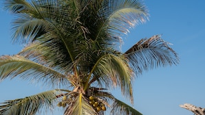 Bar pantai
