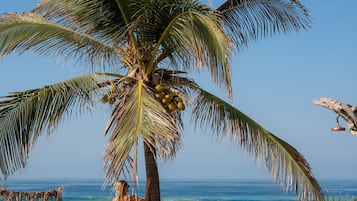 Bar de plage