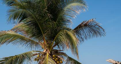 Casa Yuma, Puerto Escondido - Adults Only