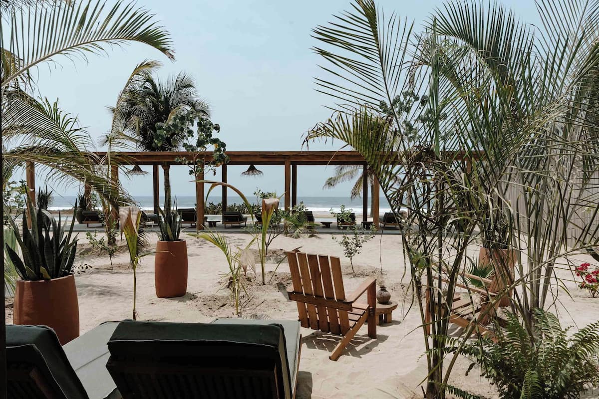 Une terrasse au bord de la plage, avec des chaises et des tables en bois, entourée de plantes en pot et de palmiers, d’où l’on a une vue sur l’océan.