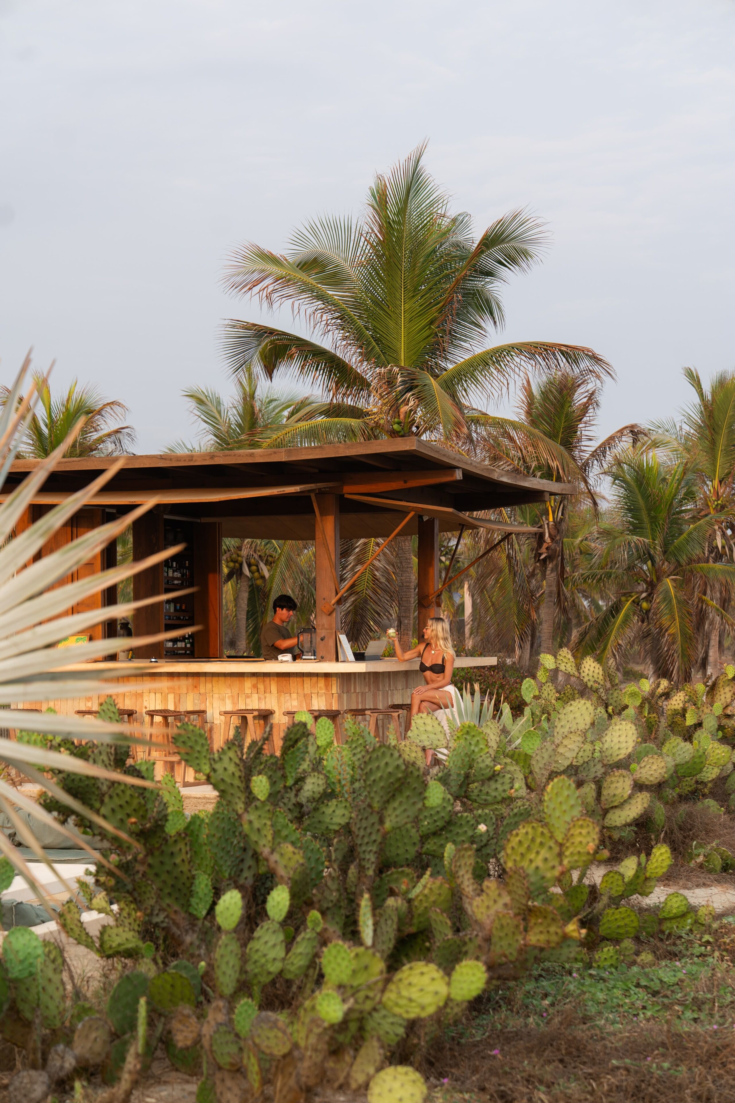 A rustic bar area with wooden furniture and a thatched roof, surrounded by cacti and palm trees.