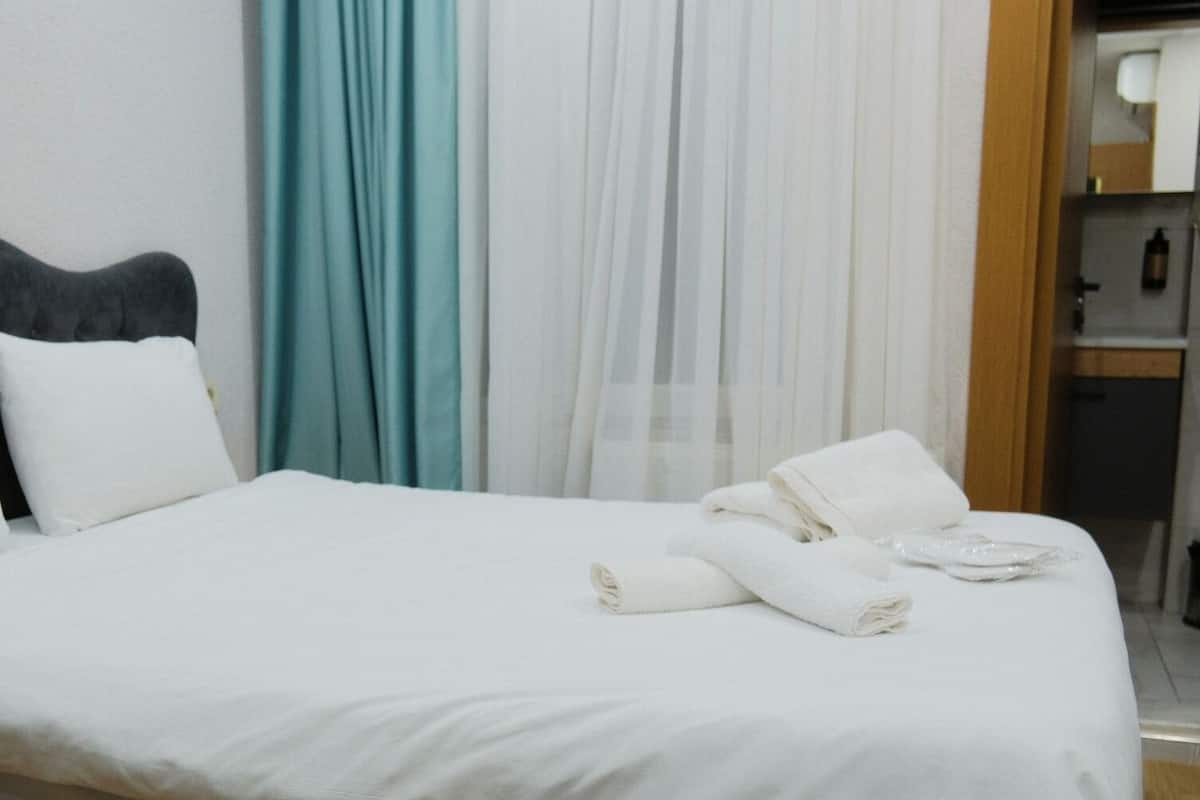 Economy Double Room, 1 Double Bed | 1 bedroom, Egyptian cotton sheets, premium bedding, down comforters