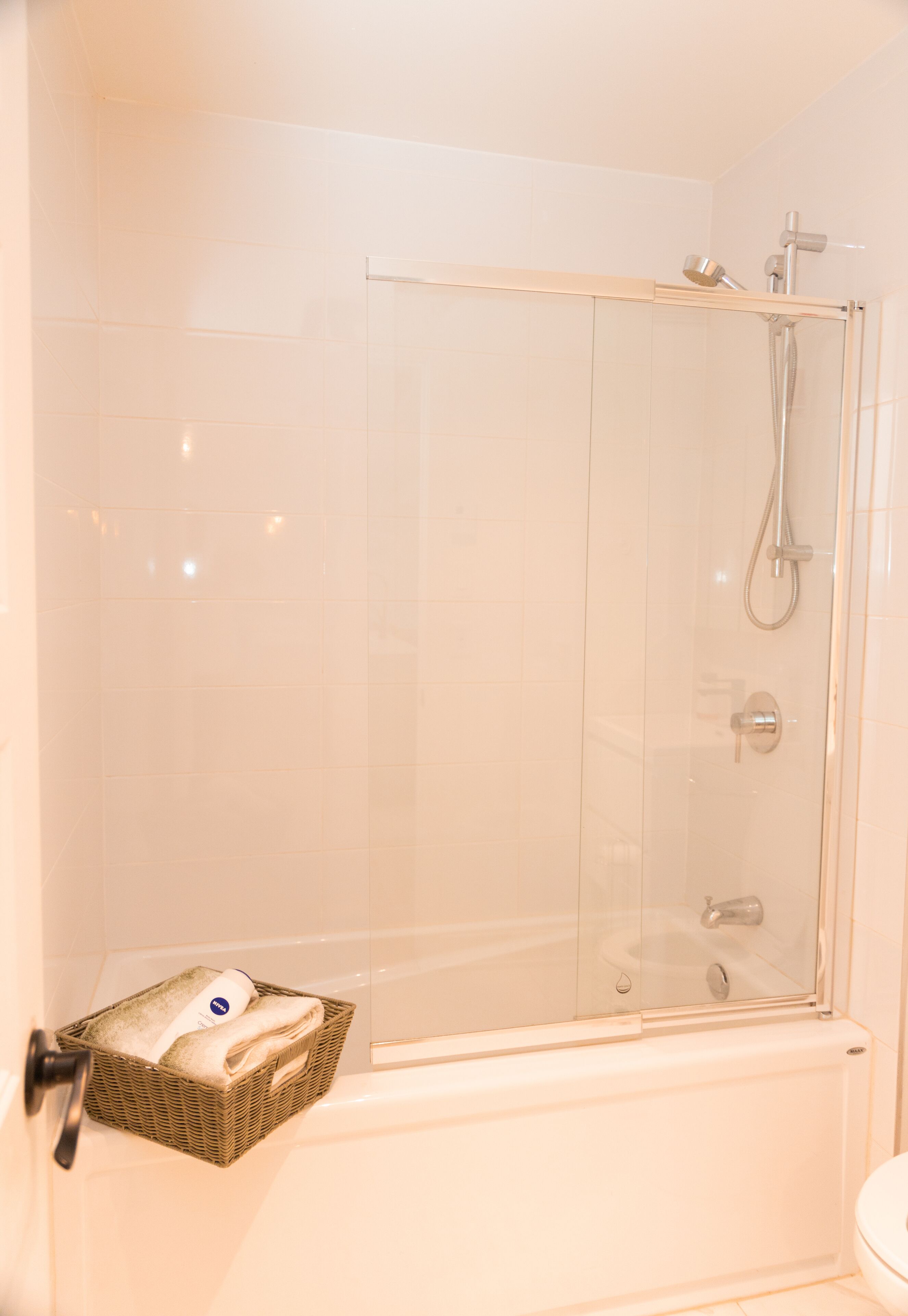 Hair dryer, towels, soap, toilet paper