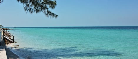 Playa en los alrededores