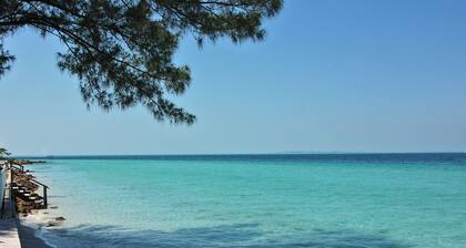 Saltwater Serenity | Canal Front w/ Heated Pool Near Anna Maria Island