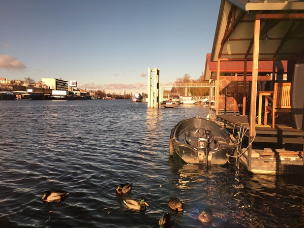 A waterfront view with a dock, boats, and ducks swimming in the water.