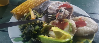 Surrounded by the forest is the Ohyo 3-Person Tent 