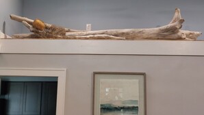 Ein Stück Treibholz mit einem Nest, präsentiert auf einem Regal in einem Raum mit einem gerahmten abstrakten Gemälde.