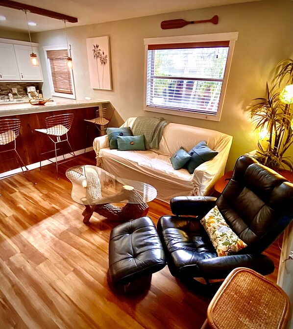 Smart TV, DVD player, books, stereo