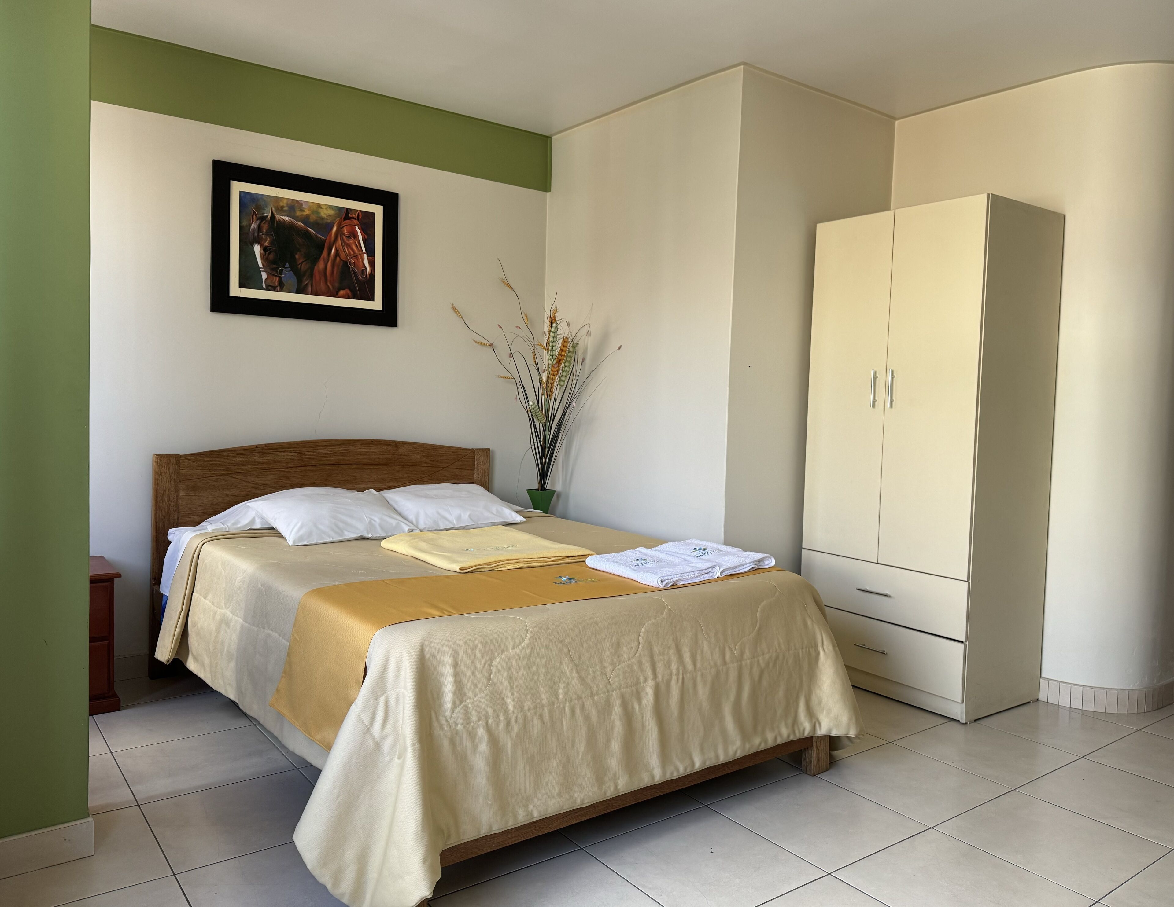 Basic Double Room, 1 Katil Ratu (Queen), Sauna | Peralatan tempat tidur hipoalergenik, meja, ruang kerja komputer riba 