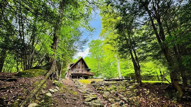 Un rustico chalet con un sentiero di pietra che vi conduce, immerso in una fitta foresta.