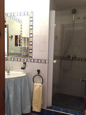 Shower, hair dryer, towels