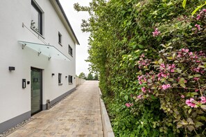 A pathway leading to a building with a glass awning and a hedge with pink flowers.