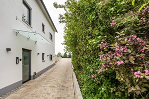 Un chemin menant à un bâtiment doté d’un auvent en verre, entouré d’une végétation luxuriante et de plantes en fleurs.