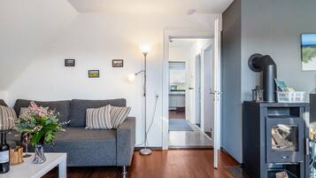 TV, lareira, aparelho de som