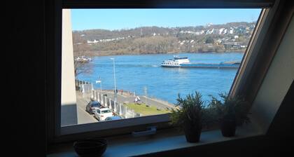 Ferienwohnung 'Rheinblick Wohnung 5' mit Gemeinschaftsterrasse, WLAN und Klimaanlage