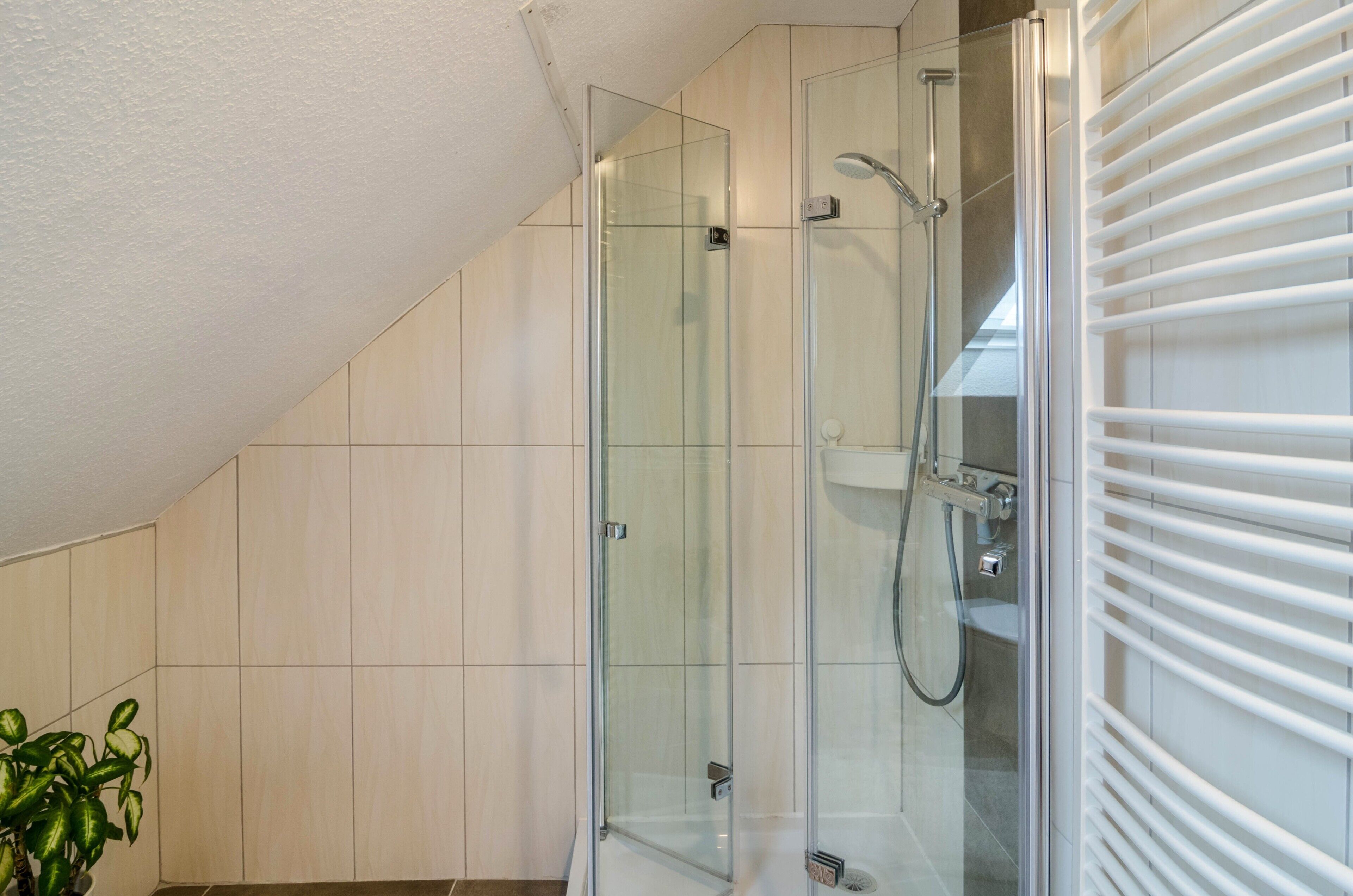 Dusche, Haartrockner, Handtücher