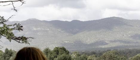 A person sitting on a bench overlooking a grassy field with trees and mountains in the distance.