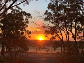 Comfort-Ferienhütte | Ausblick vom Zimmer