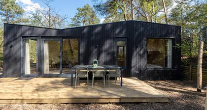 Cosy Tiny House for 4 people on the Veluwe