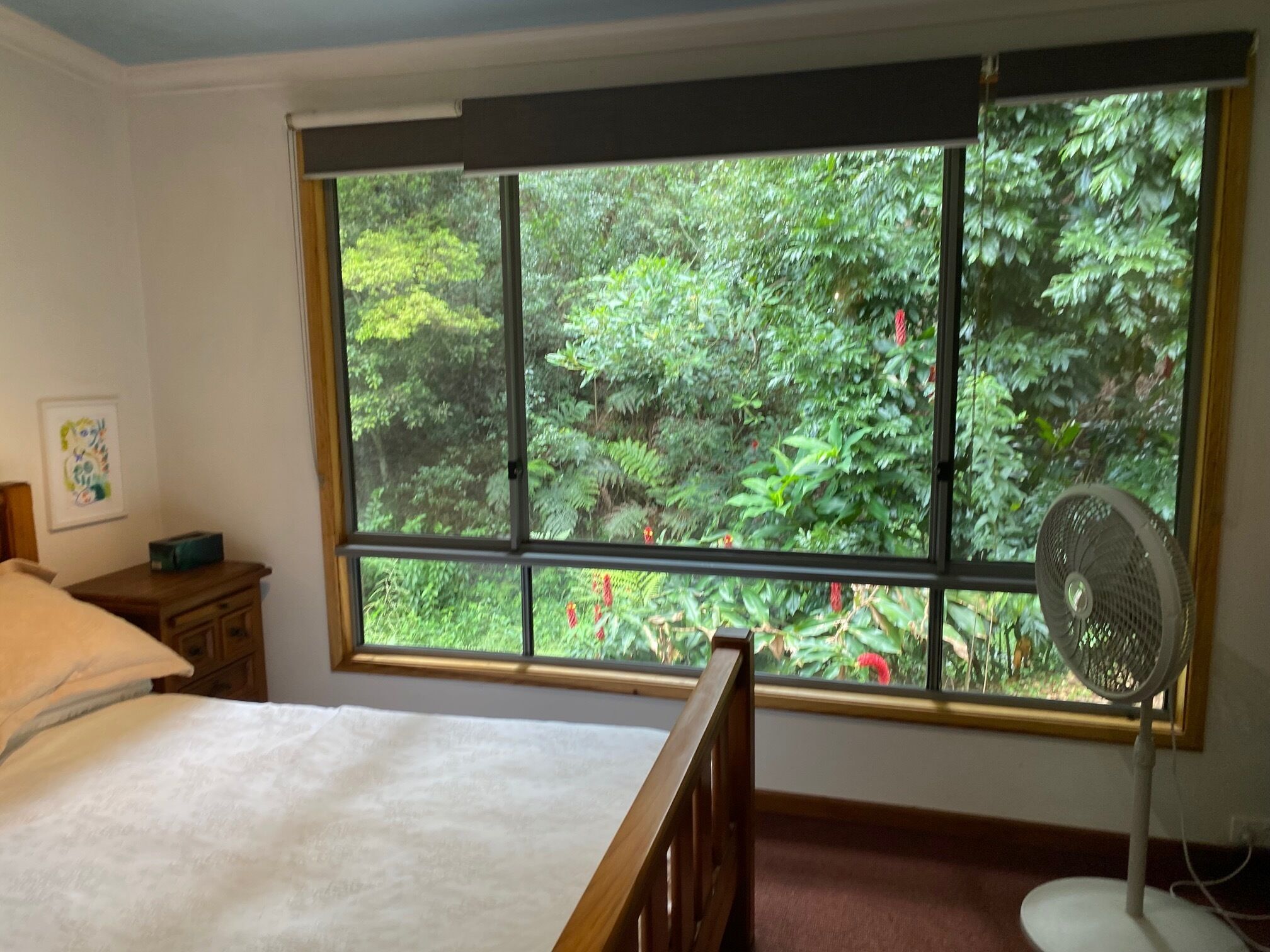 A room with a large window, a bed, a bedside table, a fan, and a wall-mounted picture.