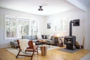 Televisión, chimenea y videojuegos