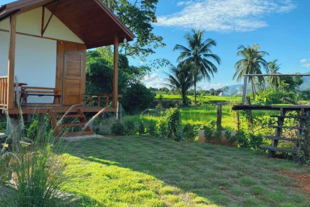 Une cabane en bois dotée d’un porche, entourée d’une végétation luxuriante et de palmiers.