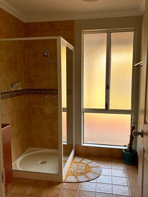 Un baño con cabina de ducha, un ventanal grande y esmerilado y una planta en maceta.