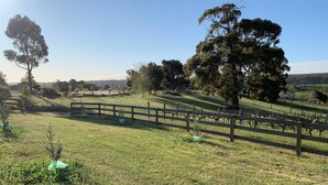 A rural landscape with a fenced area, trees, and a clear sky. - Belmira Vines
 Private Vineyard Escape! (Kangaroo Gully)