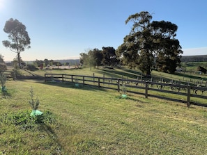 A rural landscape with a fenced area, trees, and a clear sky. - Belmira Vines
 Private Vineyard Escape! (Kangaroo Gully)