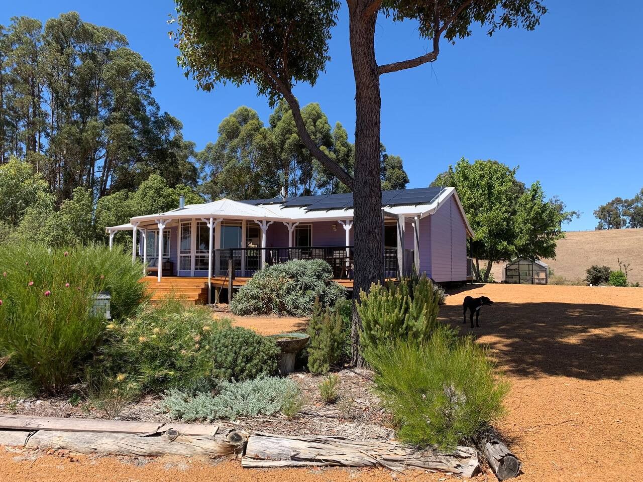 A two-story building with a covered patio and a dog in the yard.