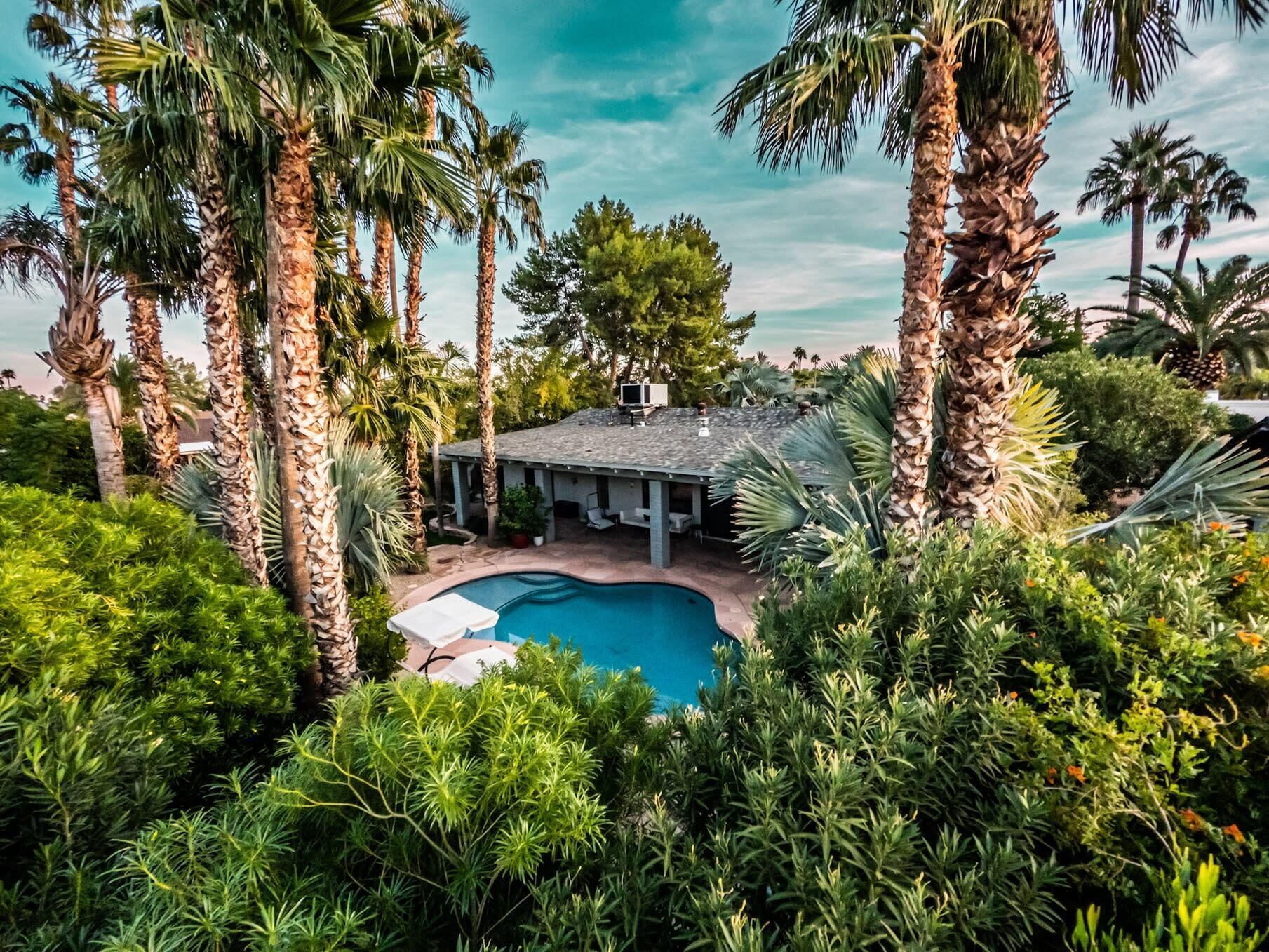 Dreamy Palm Paradise ~ Heated Pool ~ BBQ Grill