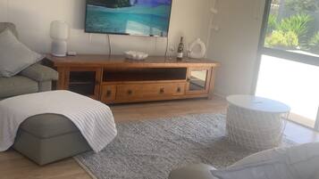 Télévision à écran plat