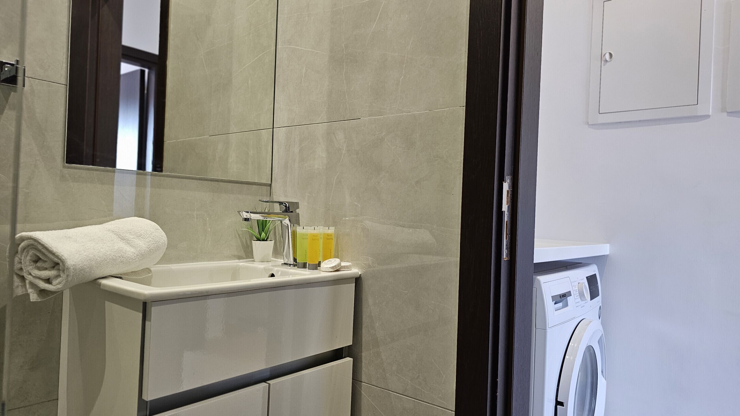 Chuveiro, secador de cabelo, toalhas de banho 