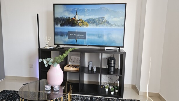Un salon moderne avec un téléviseur à écran plat posé sur un meuble noir, une table basse en verre surmontée d’un vase rose et un meuble de rangement noir doté d’étagères.