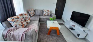 Departamento de diseñador | Área de sala de estar | Smart TV de 24 pulgadas con canales digitales 