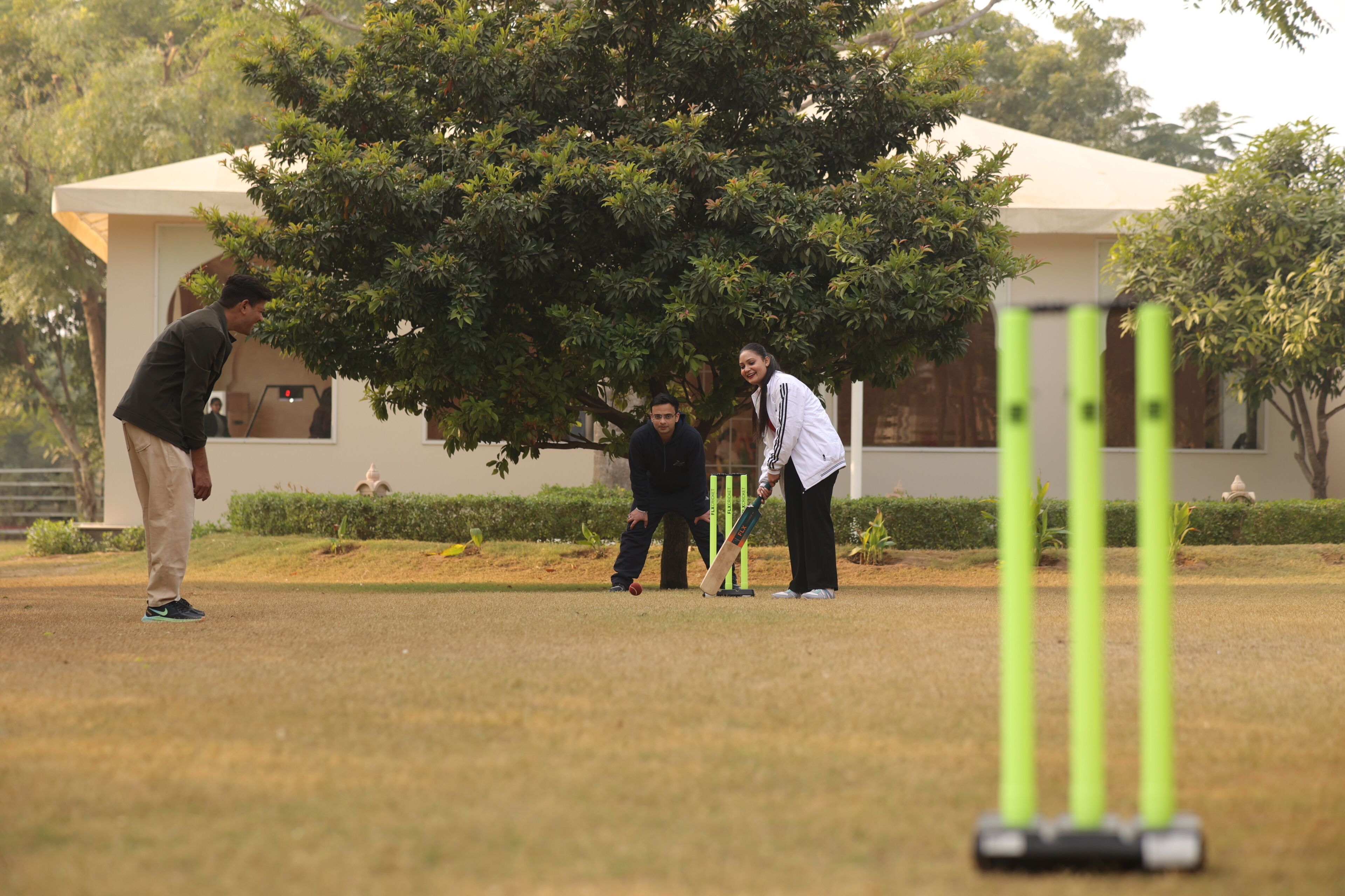 A cricket field with players, a pavilion, and a large tree.
